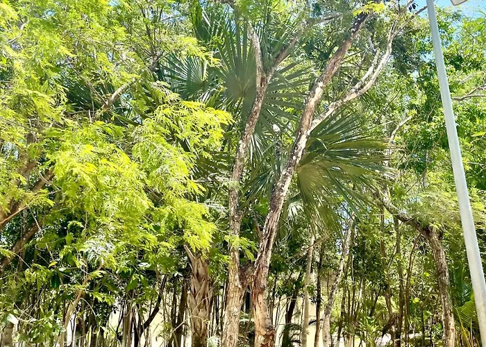 Bonito Depto 2hab2ban Y Varias Amenidades Playa del Carmen