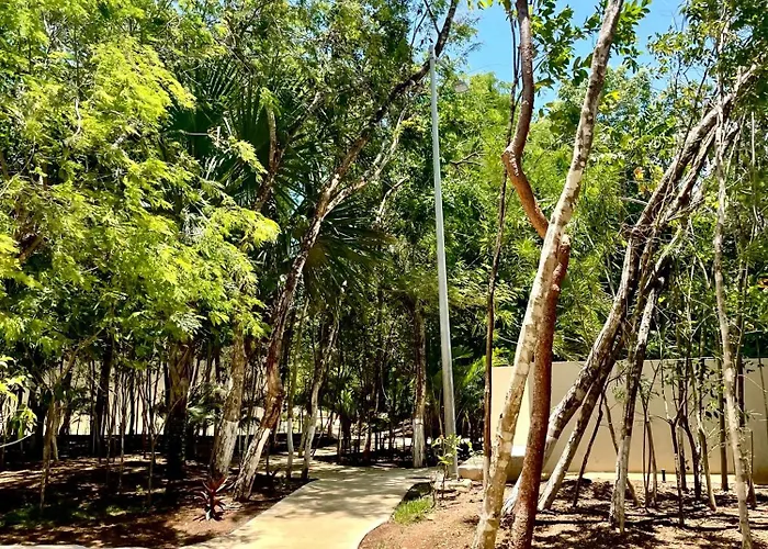 Apartament Bonito Depto 2hab2ban Y Varias Amenidades Playa del Carmen